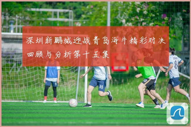 深圳新鹏城迎战青岛海牛精彩对决回顾与分析第十五集
